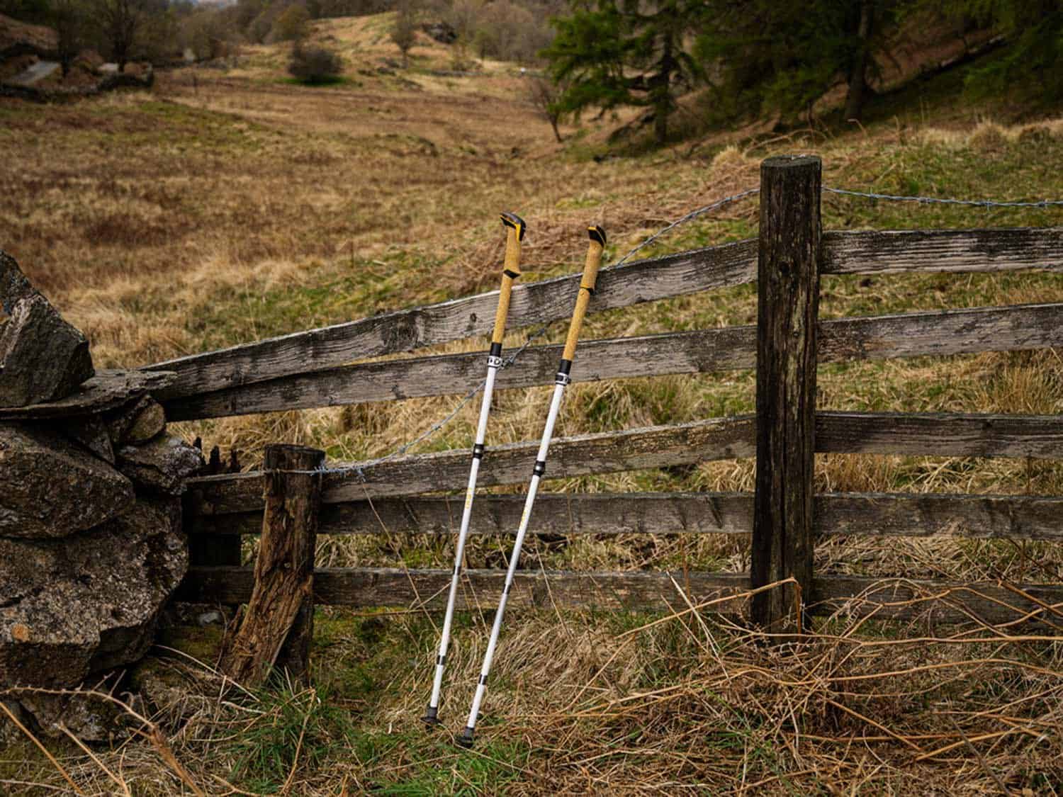 5 Best Trekking Poles for Hiking Tents in 2025