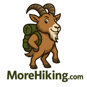 5 Best Hiking Shoes for Rocky Terrain in 2025 - More Hiking